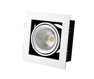 картинка Светодиодный карданный светильник GRAZIOSO 1 LED 30W
