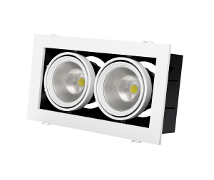 картинка Светодиодный карданный светильник GRAZIOSO 2 LED 2x30W